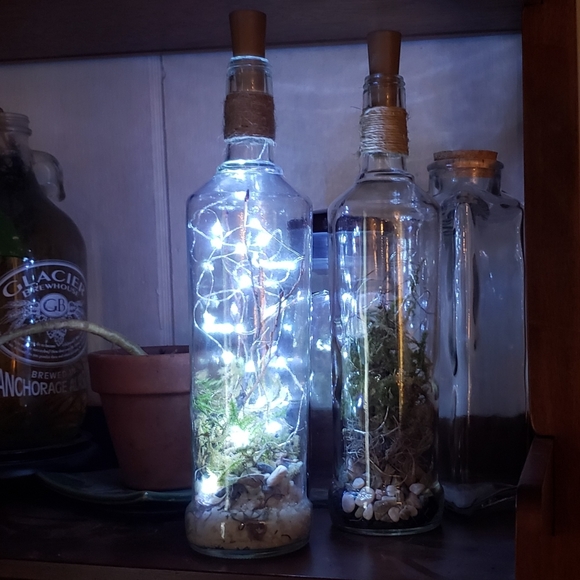 Dried Moss Terrarium Bottle Light (w/ roots and pebbles) - Picture 8 of 8